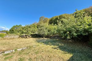Rear Gardens- click for photo gallery